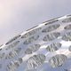 Illustration for article titled 6 Brilliant Ideas That Tackle the Toughest Environmental Problems